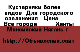 Кустарники более 100 видов. Для городского озеленения › Цена ­ 70 - Все города  »    . Ханты-Мансийский,Нягань г.